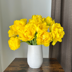 70. TULP MARIE JO (ÜHES PAKIS 5 SIBULAT)