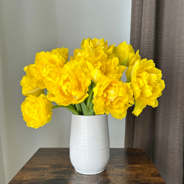 70. TULP MARIE JO (ÜHES PAKIS 5 SIBULAT)